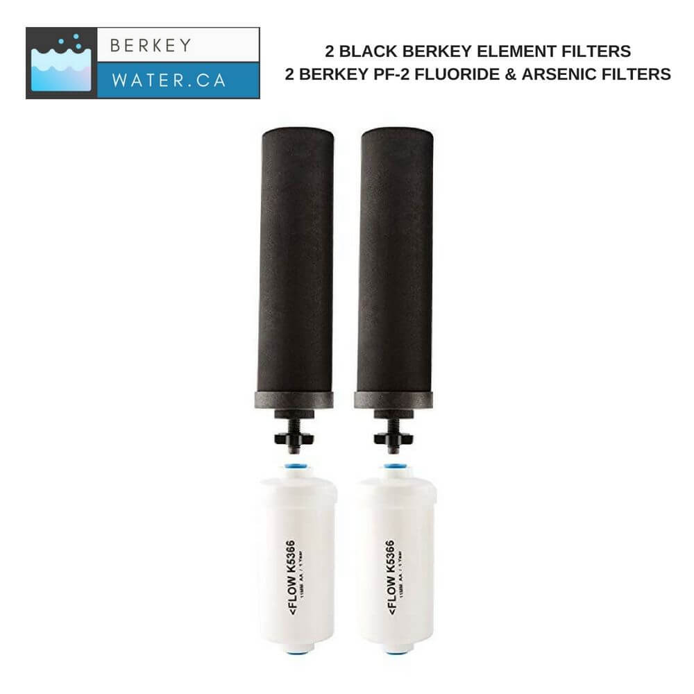 Black Berkey & PF-2 Fluoride Filters Combo