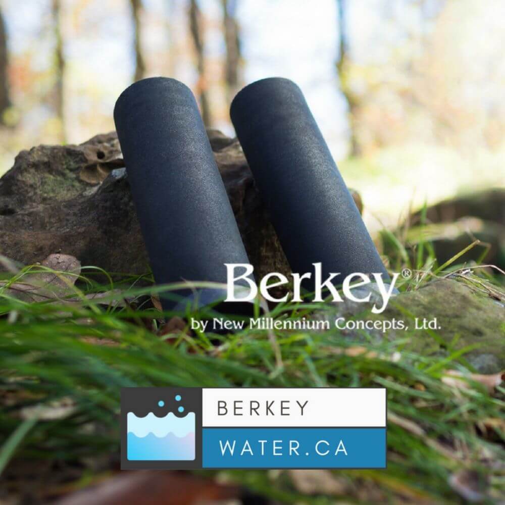 Set of 2 Berkey Authentic Black Berkey Elements (BB9-2) and 2 Berkey PF-2  Fluoride and Arsenic Reduction Elements - Combo Pack 